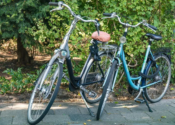 The New Boathouse * Amsterdam